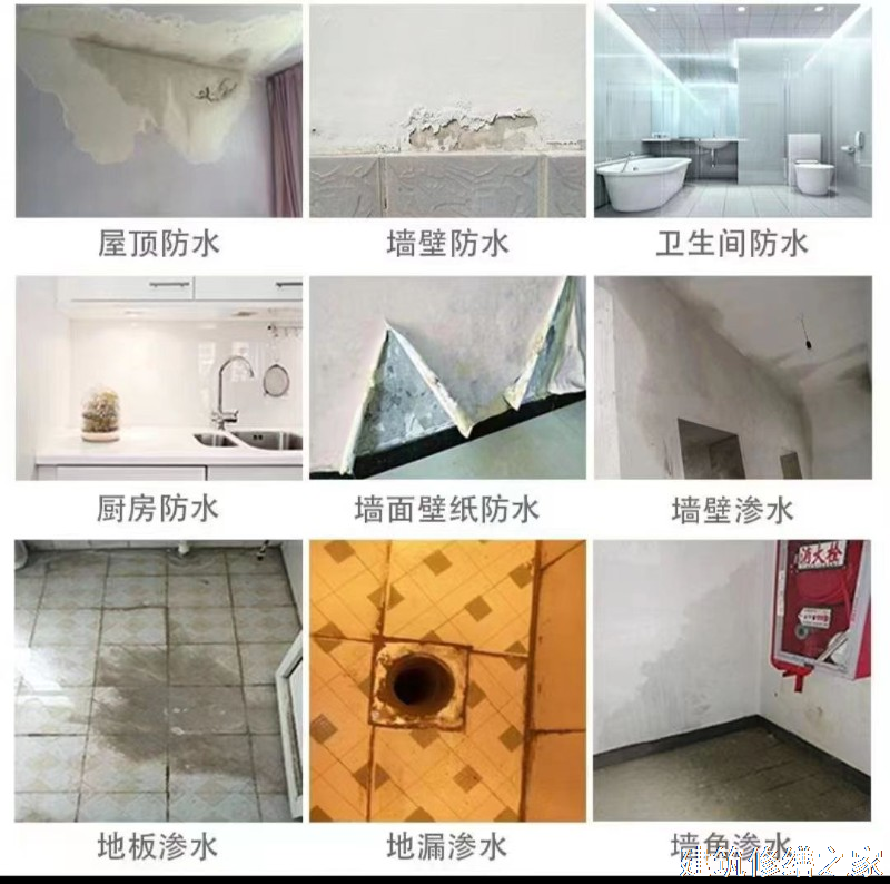 茂名2026信宜市 防水材料 排名前十的源头厂家