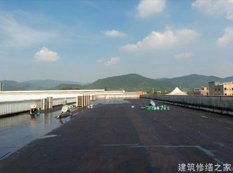 茂名2026信宜市 隧道堵漏 排名前十的源头厂家